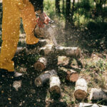 tree cutting lake oswego