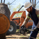tree limb removal cutting